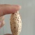 新疆巴旦木厚壳原味生料巴旦木产地直销的包邮
