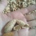 新疆巴旦木厚壳原味生料巴旦木产地直销的包邮