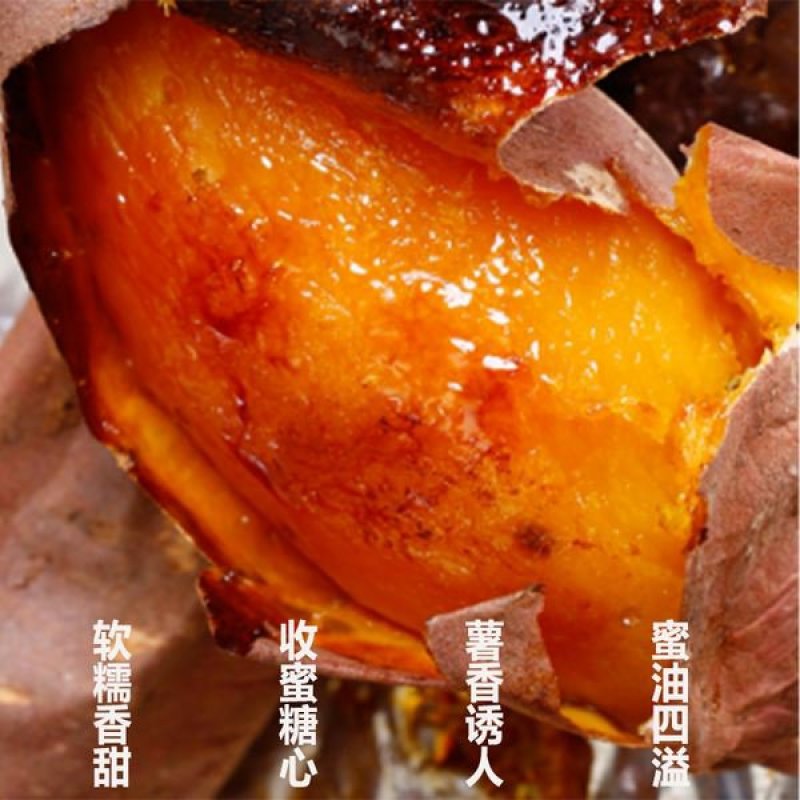 实力供货商★烟薯25、规格齐全红皮红心农户种植一条龙服务