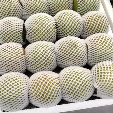 翠冠梨
