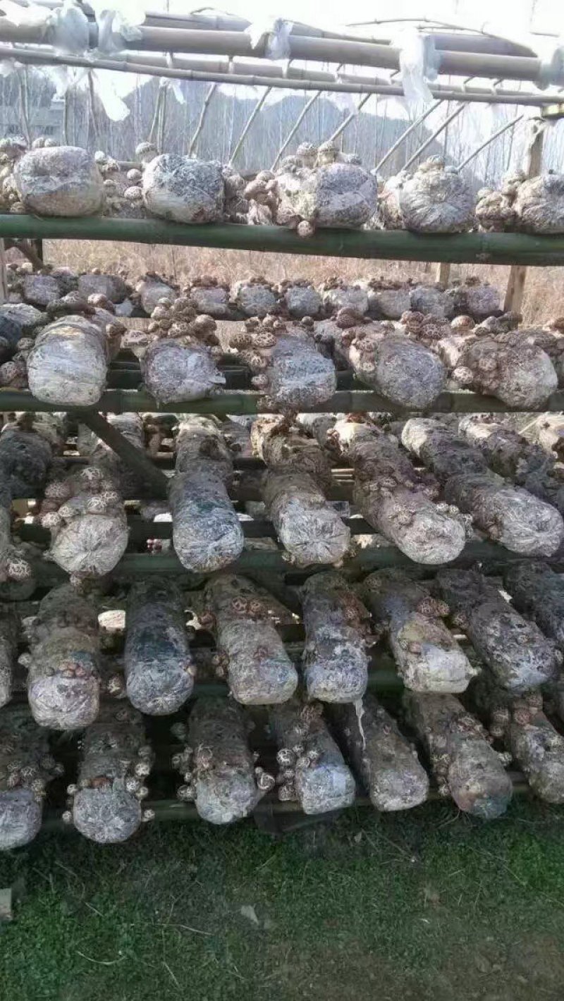 因有尽有