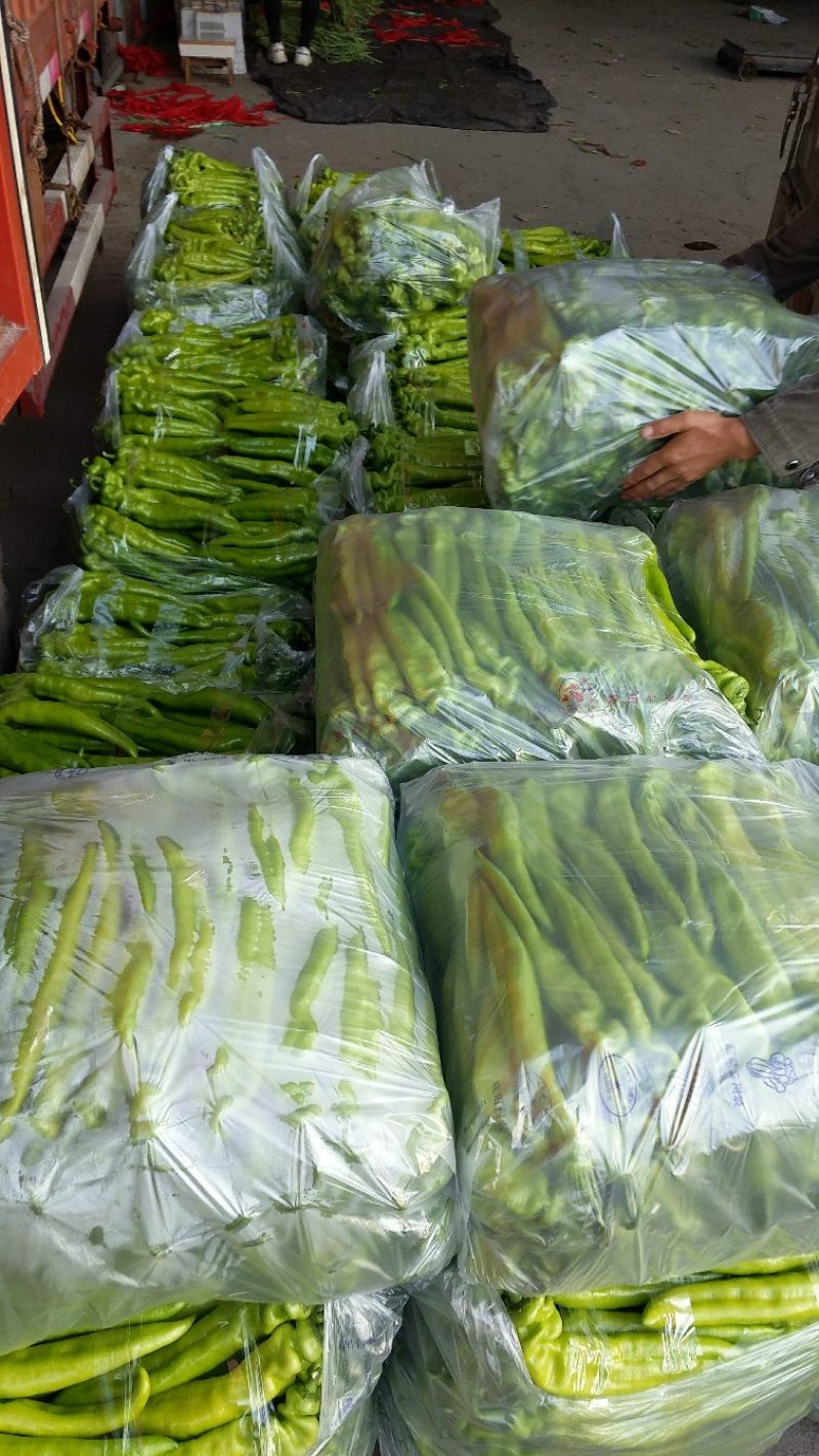 尖椒有喜欢的不，杠杠的