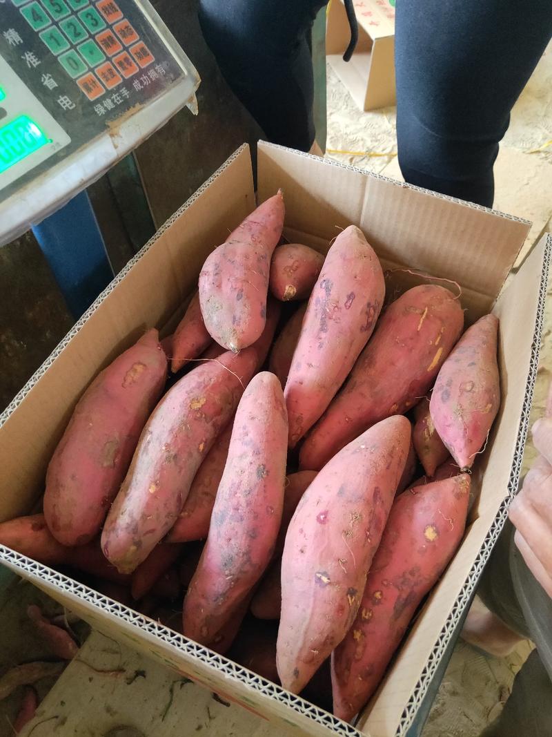 【牛商推荐】西瓜红红薯，对接电商，市场，长期供货，保质量