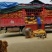恩施富硒小土豆巴东黄心土豆原产地直发马尔科老品种