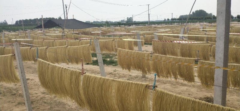 红薯粉条，酸辣粉专用细粉火锅店粗粉宽粉