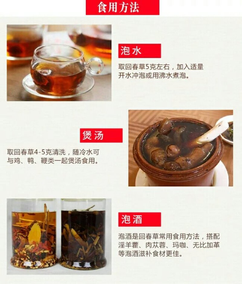 回春草大条顶天柱不老草云南草苁蓉包邮泡酒料泡水
