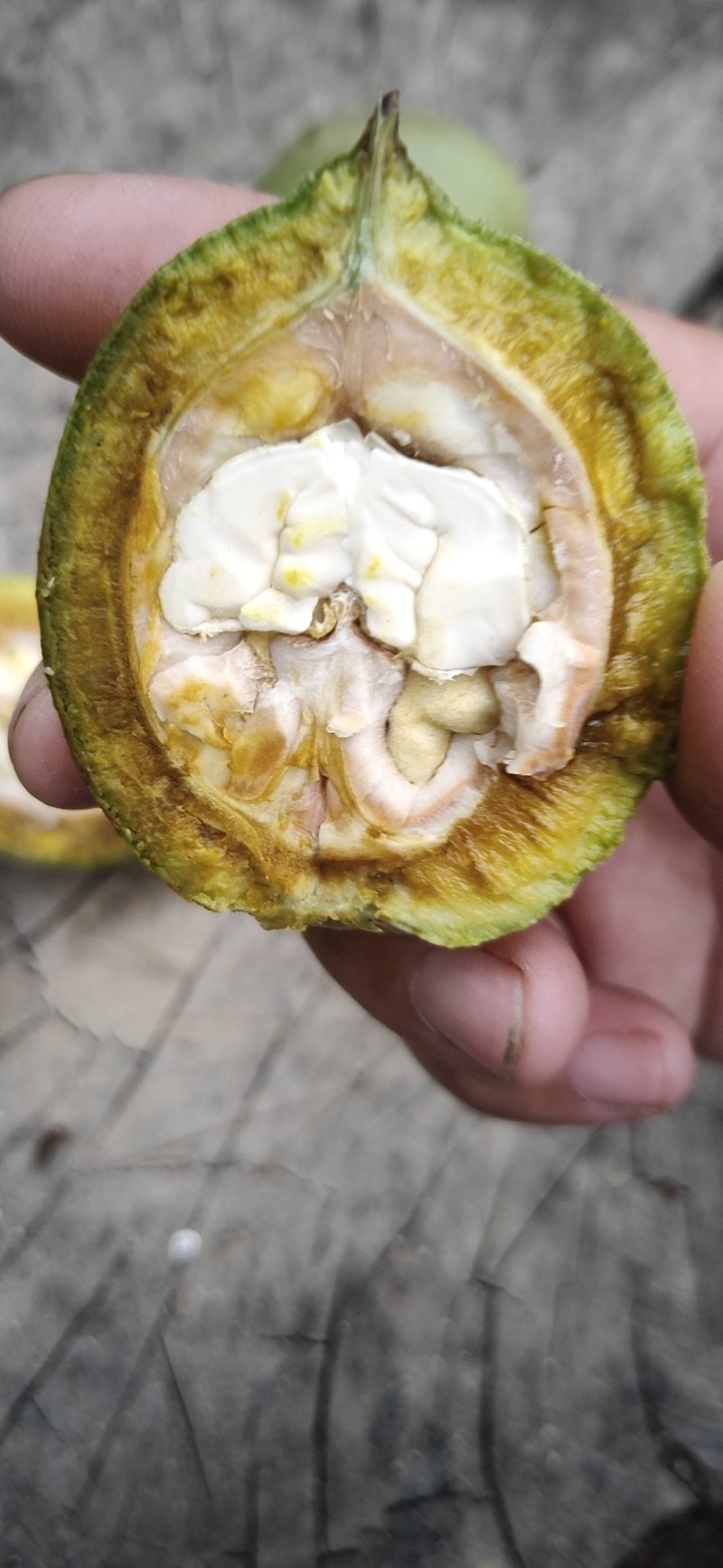 核桃