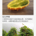 火参果