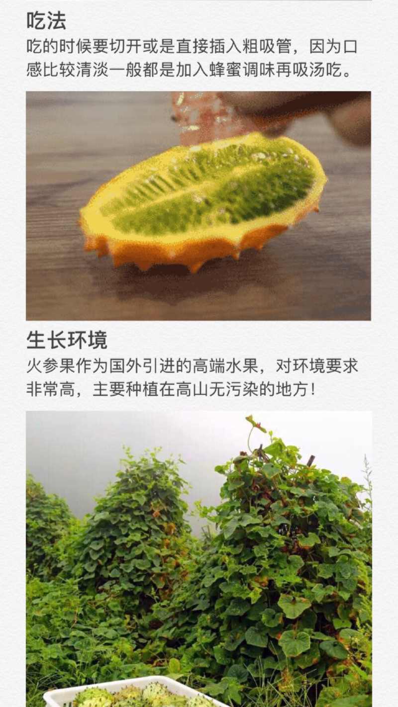 火参果