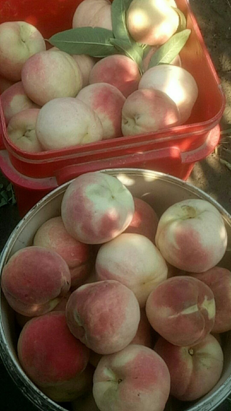 永联密