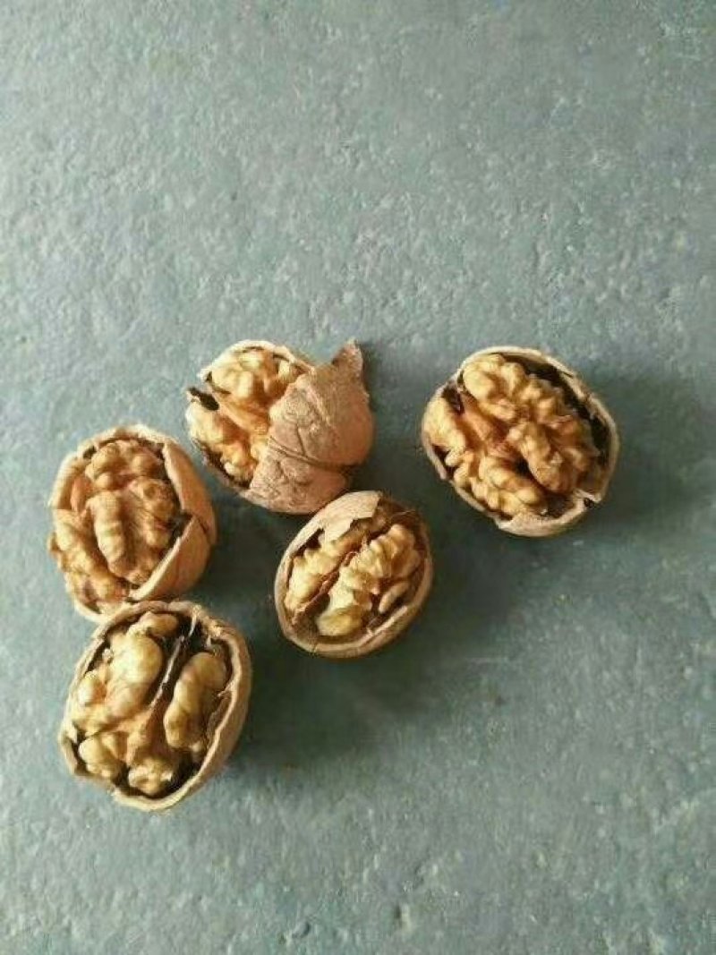核桃