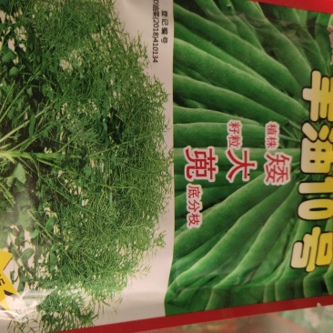 风油10号油菜种。高产量，含油量47.8%.栽培600斤