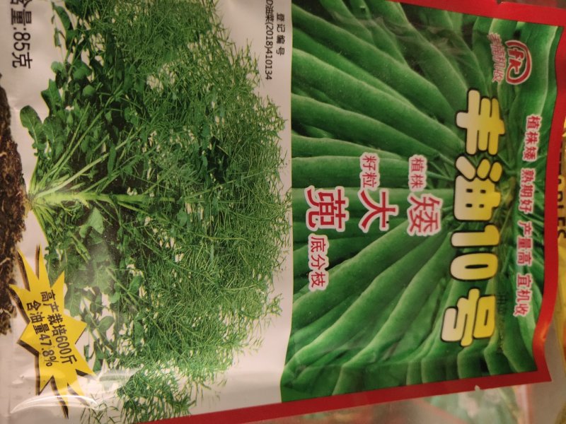 风油10号油菜种。高产量，含油量47.8%.栽培600斤