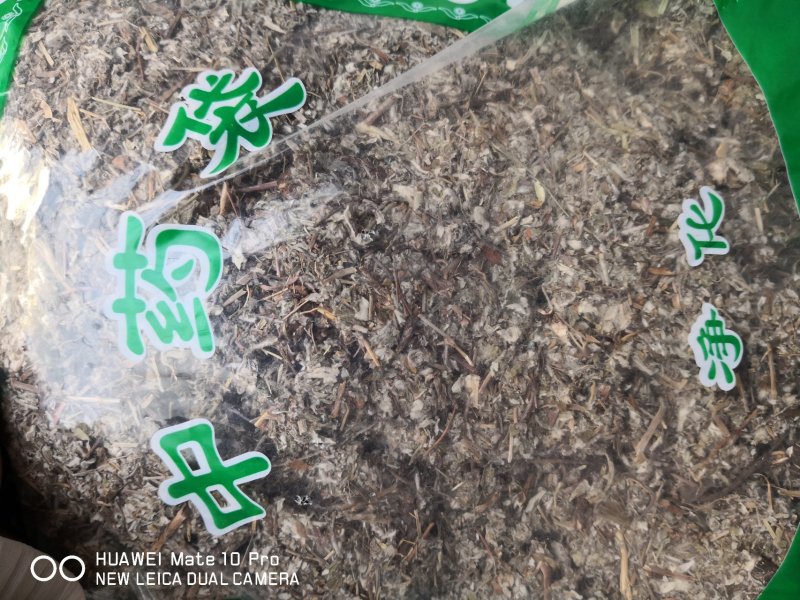 翻白草河南产含量高一面青一面白量大从优欢迎选购