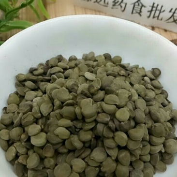 望江南千余品种供应承接订单