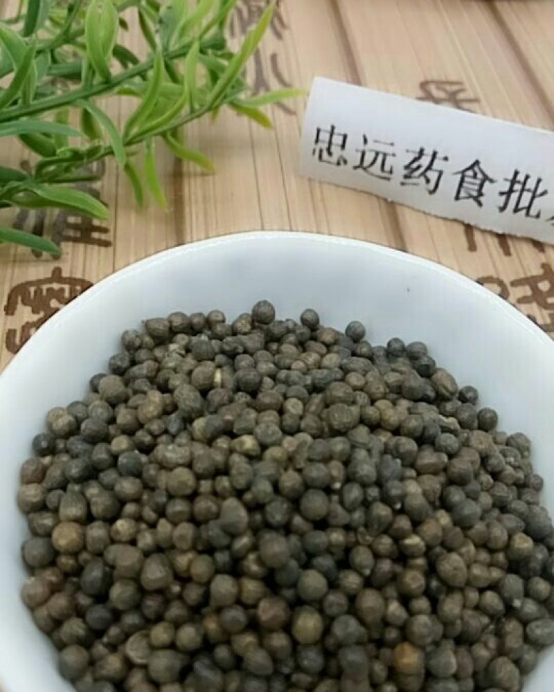 黄荊子千余品种供应承接订单