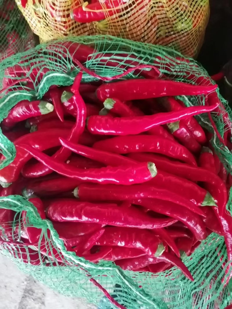 忻州精红二号.精品货源.货源充足.本地价格.小范助农！！