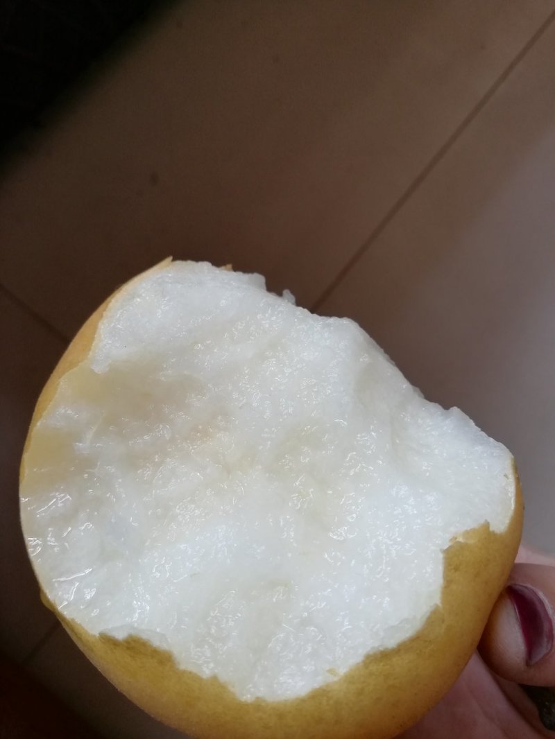 丰水走起