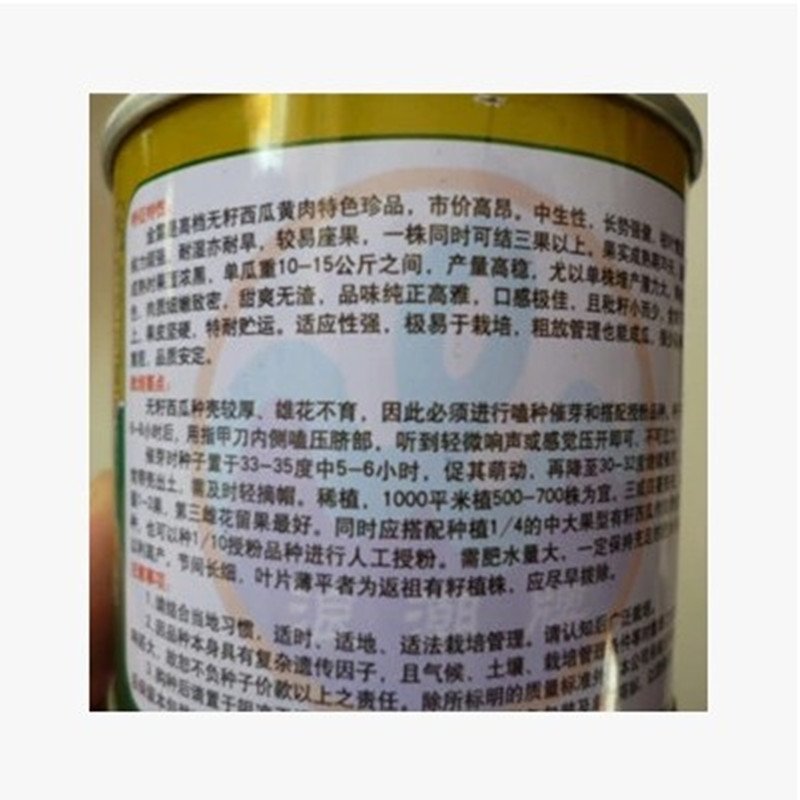 金露无籽西瓜种子黑皮黄瓤无籽皮薄糖度13度大瓜黄肉