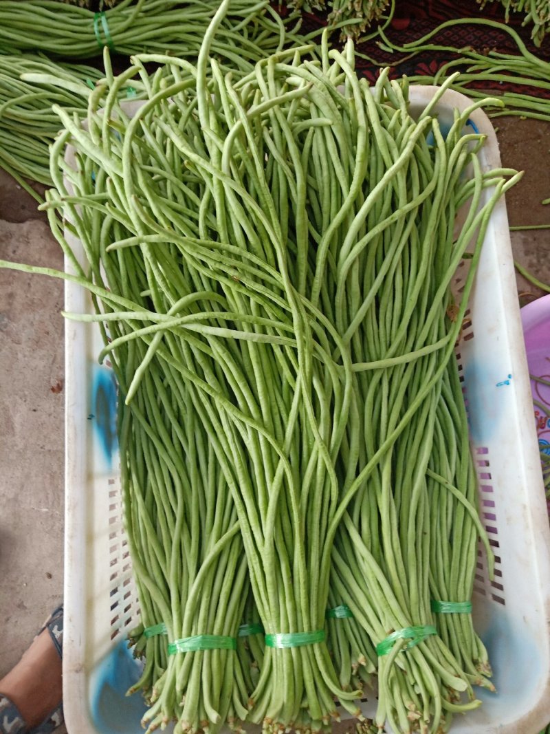 元谋精品豇豆大量上市供应