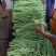 元谋精品豇豆大量上市供应