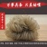 红薯粉条
