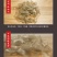 红薯粉皮