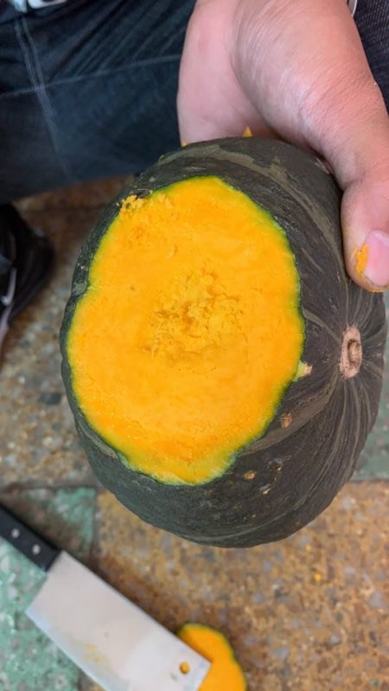 精品铁球绿南瓜，货源充足，专业工人挑选，货到不满意全额退