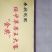 寒富苹果75mm。250克以上