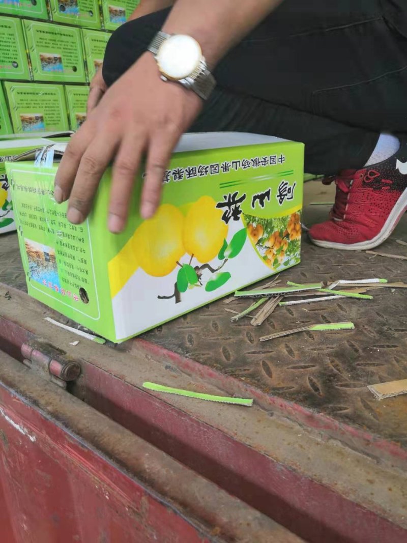 安徽酥梨品种正宗日供万吨一手货源走批发市场商超