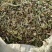 牛草羊草驴草马草兔等草河南花生秧草料