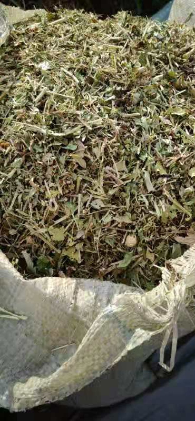牛草羊草驴草马草兔等草河南花生秧草料