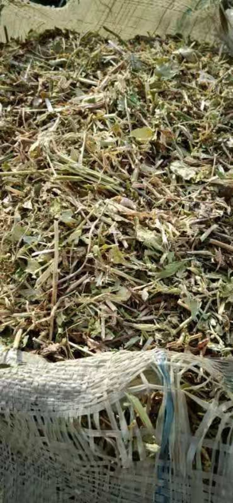 牛草羊草驴草马草兔等草河南花生秧草料