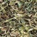 牛草羊草驴草马草兔等草河南花生秧草料