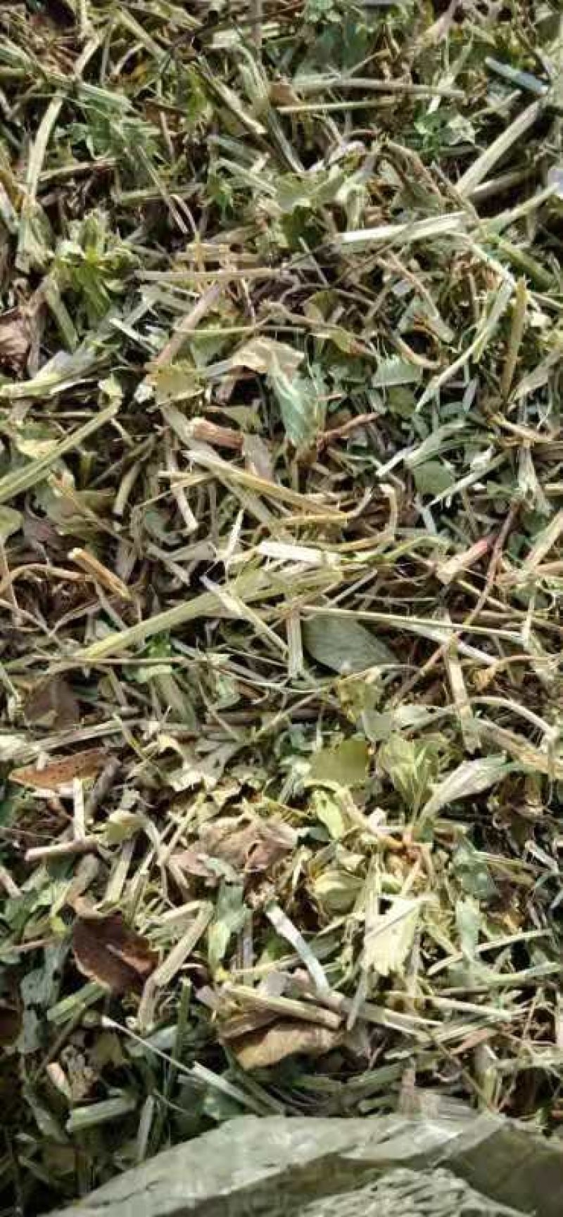 牛草羊草驴草马草兔等草河南花生秧草料