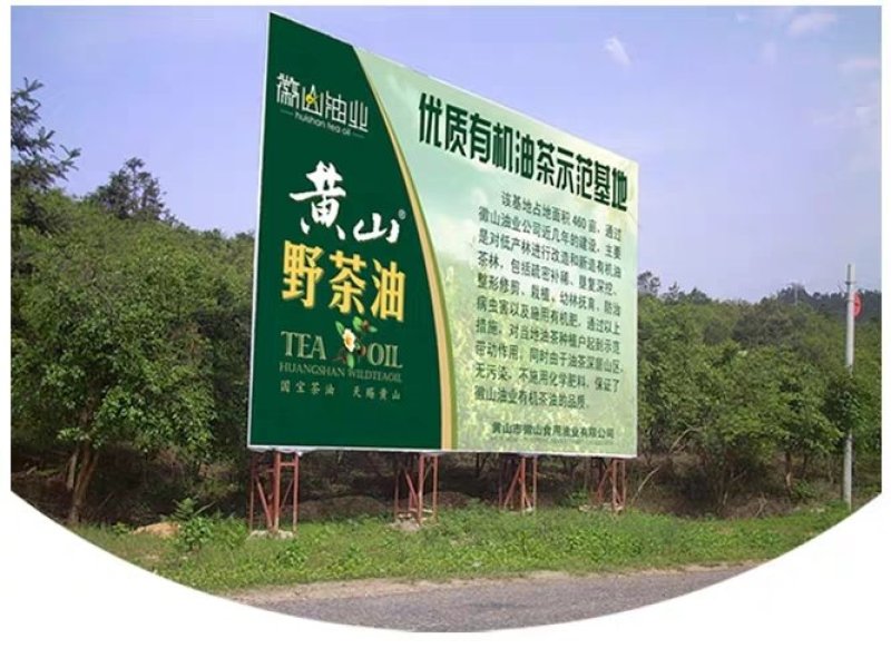 黄山有机山茶油促销招商