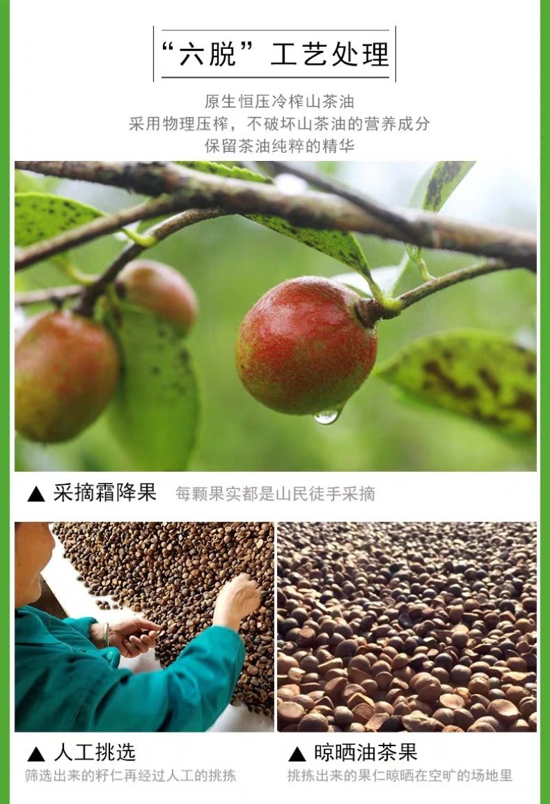 黄山有机山茶油促销招商