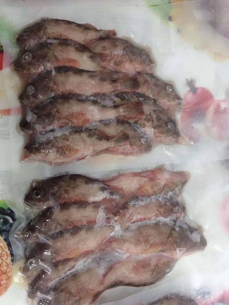 石公狗鱼