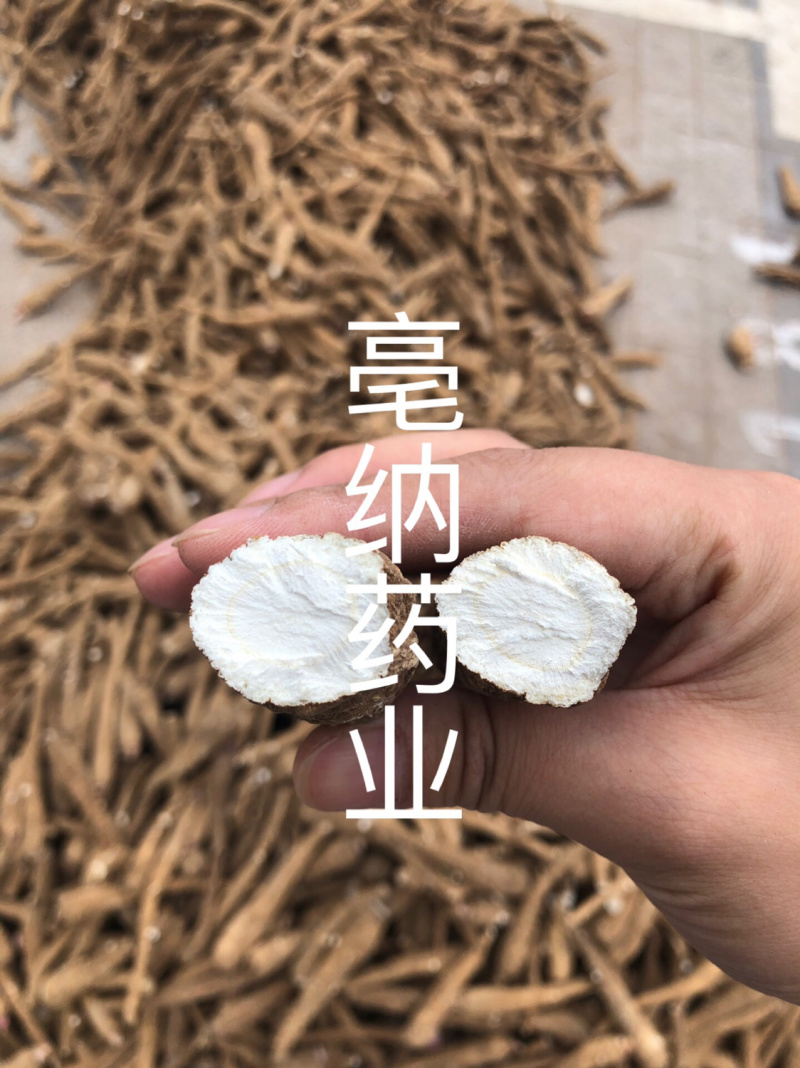 白芷个白芷片安徽白芷个产地直销1公斤起批量大从优