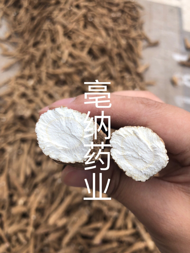 白芷个白芷片安徽白芷个产地直销1公斤起批量大从优