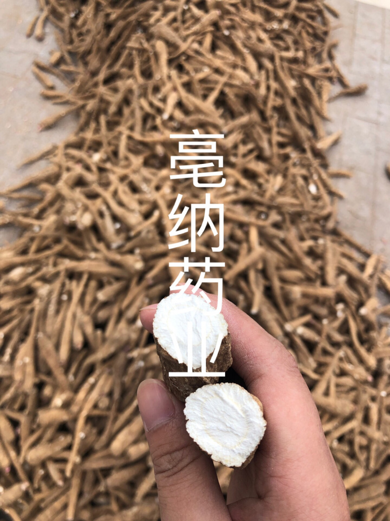 白芷个白芷片安徽白芷个产地直销1公斤起批量大从优
