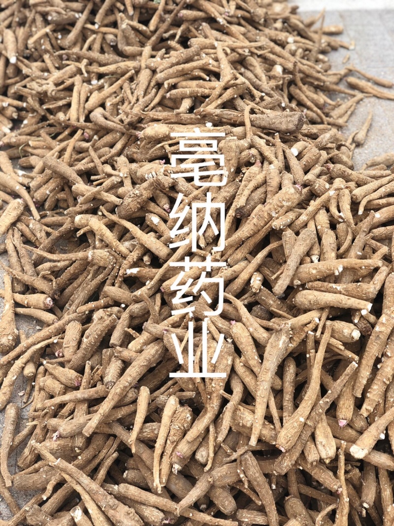白芷个白芷片安徽白芷个产地直销1公斤起批量大从优