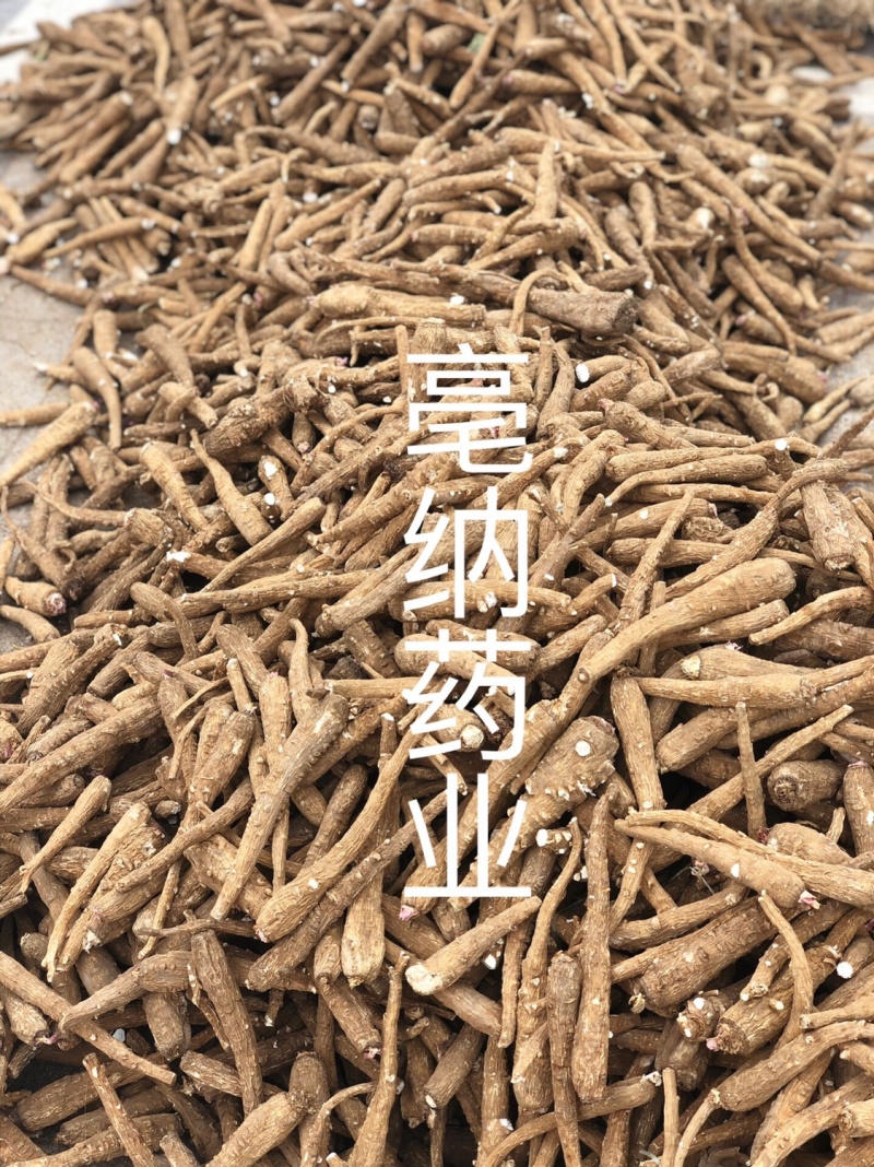 白芷个白芷片安徽白芷个产地直销1公斤起批量大从优