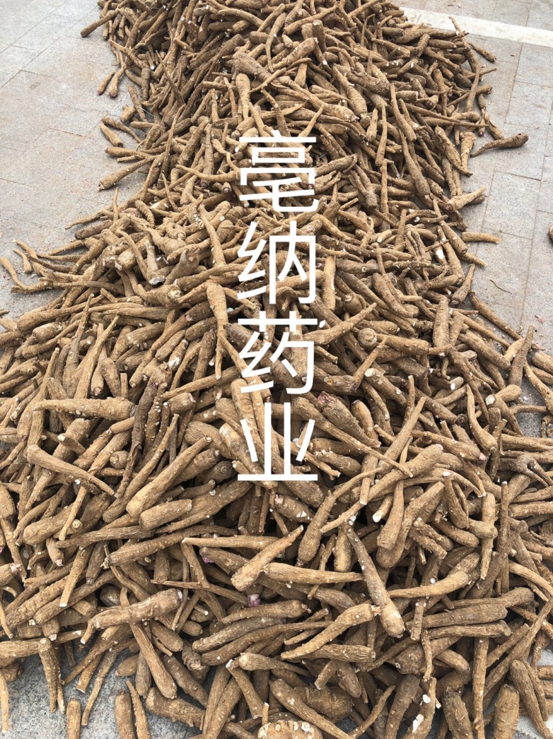 白芷个白芷片安徽白芷个产地直销1公斤起批量大从优
