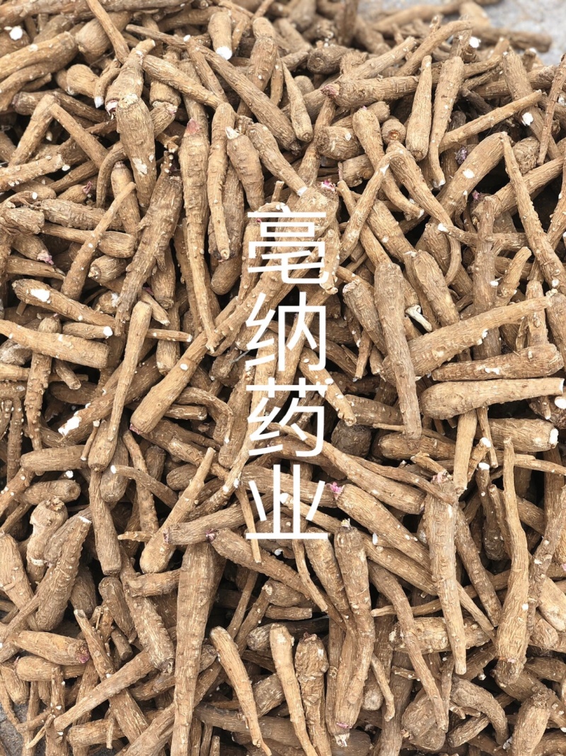 白芷个白芷片安徽白芷个产地直销1公斤起批量大从优