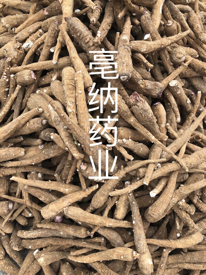 白芷个白芷片安徽白芷个产地直销1公斤起批量大从优