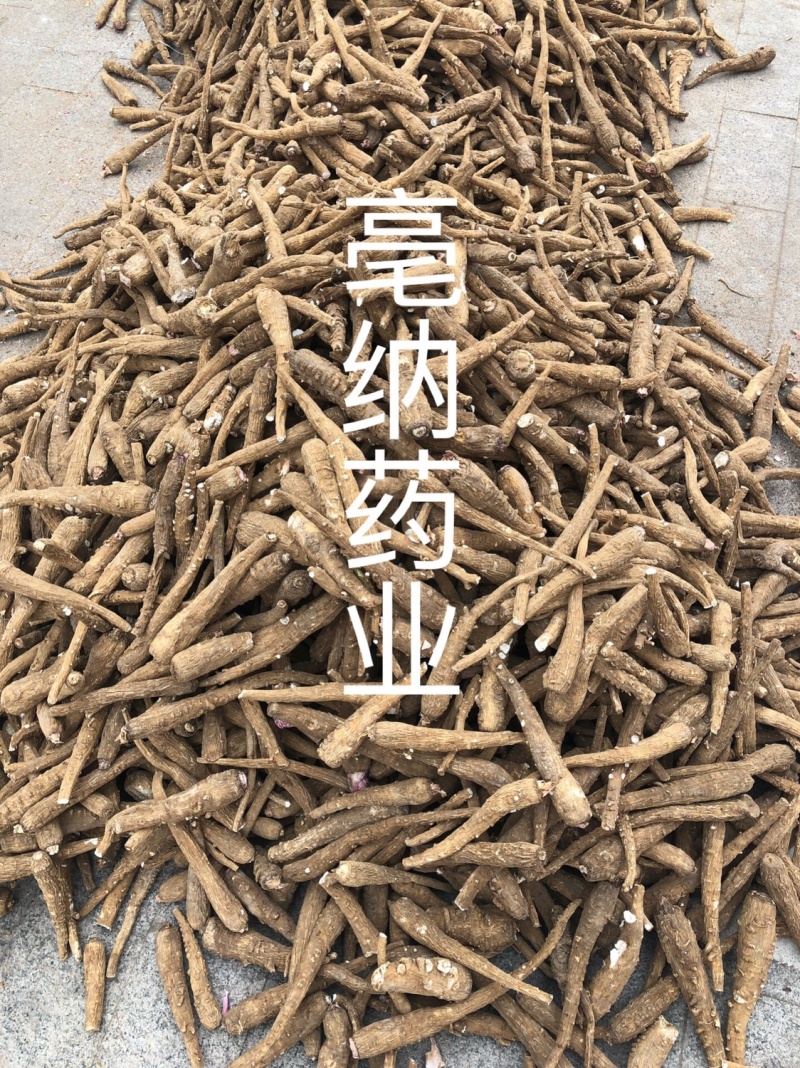 白芷个白芷片安徽白芷个产地直销1公斤起批量大从优