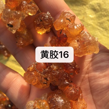 黄胶还有不是很多，需要联系