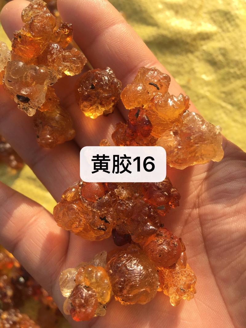 黄胶还有不是很多，需要联系