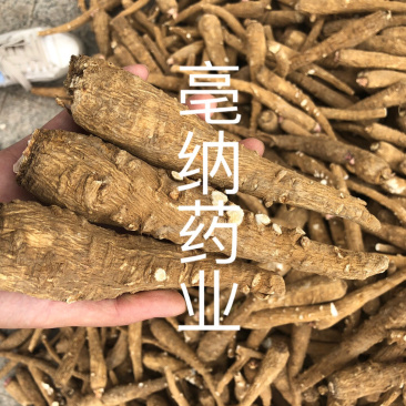 白芷个白芷片安徽白芷个产地直销1公斤起批量大从优